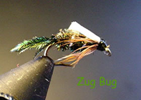 12-16 Zug Bug