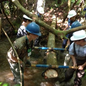 39D31629-B925-4945-AAA1-69703FDEBA2D